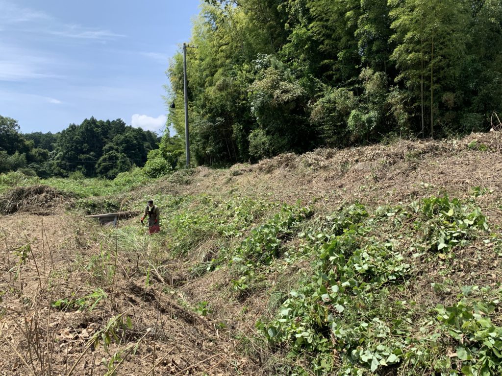 耕作放棄地の草刈り