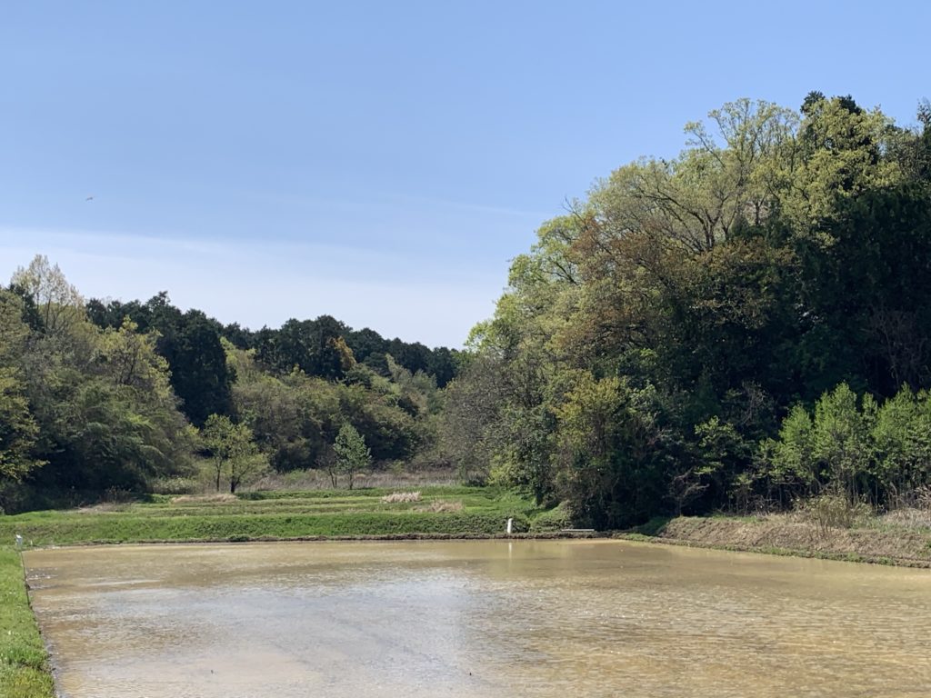 耕作放棄地の整備