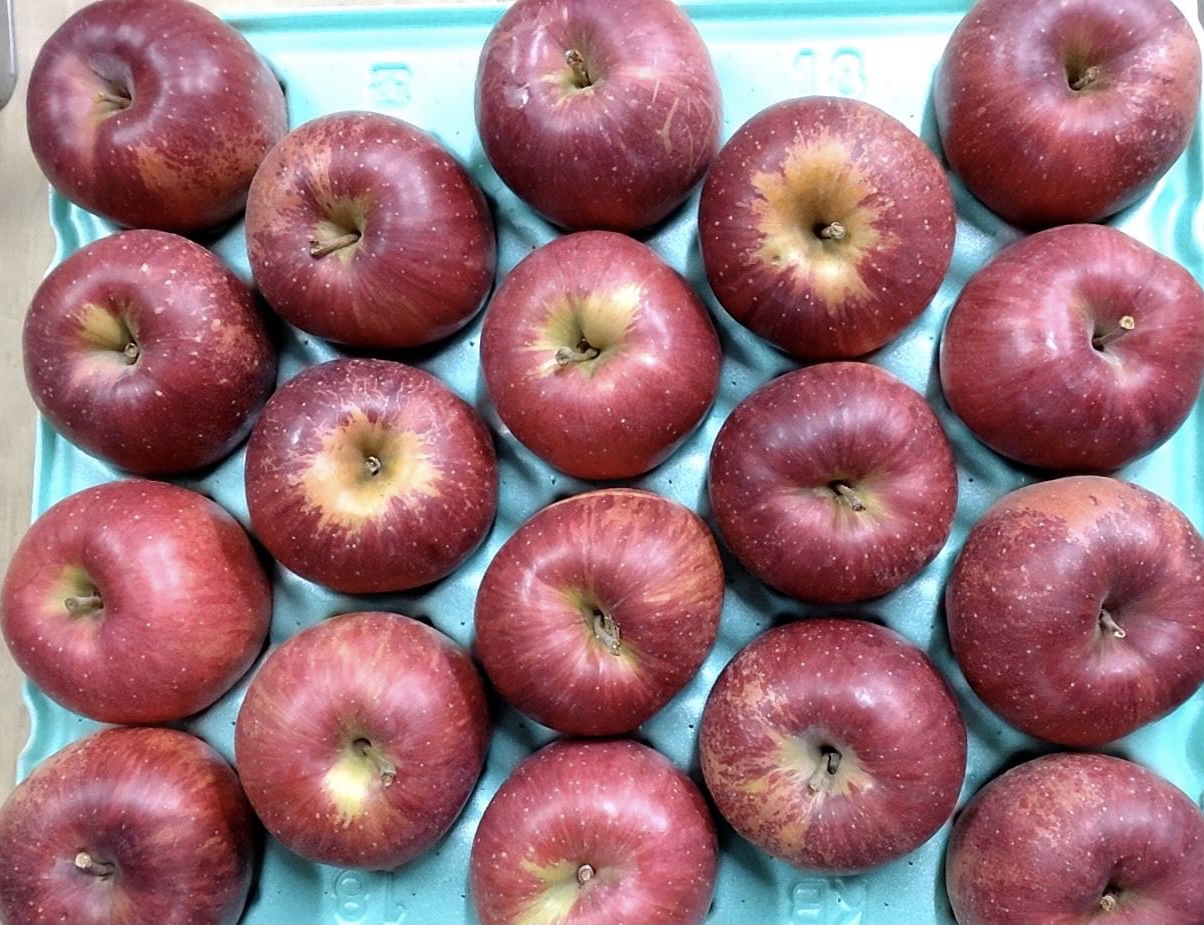 減農薬りんご、シナノスイート 、家庭用