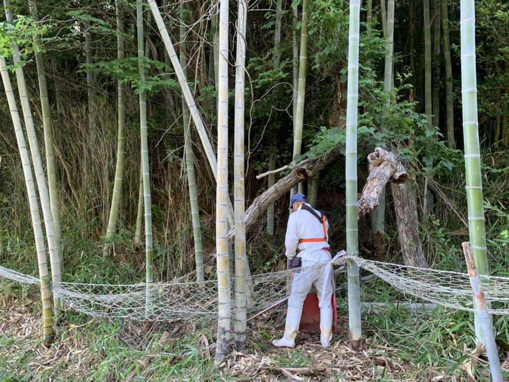 獣害予防ネットの設置